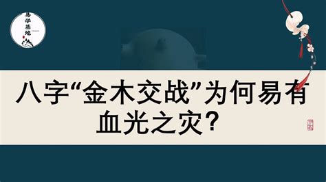 金木交战|八字金木交战，金木大战八字特征一览